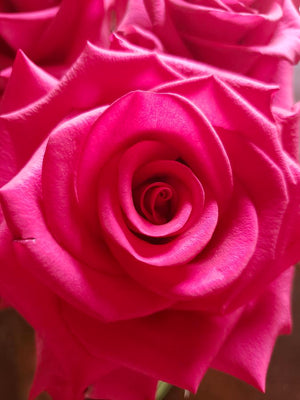 Unveiling the Wonderful Powers of the Yoni and The Magic of PinkKitty