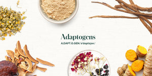 Harnessing the Power of Adaptogens: A Look at PinkKitty and EasyRhino Liqueurs