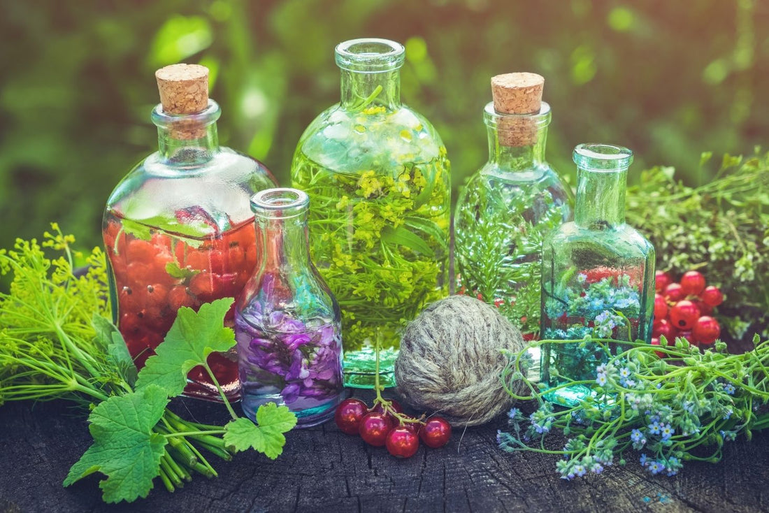 Unleashing the Power of Nature: Herbal Elixirs for Enhanced Vitality